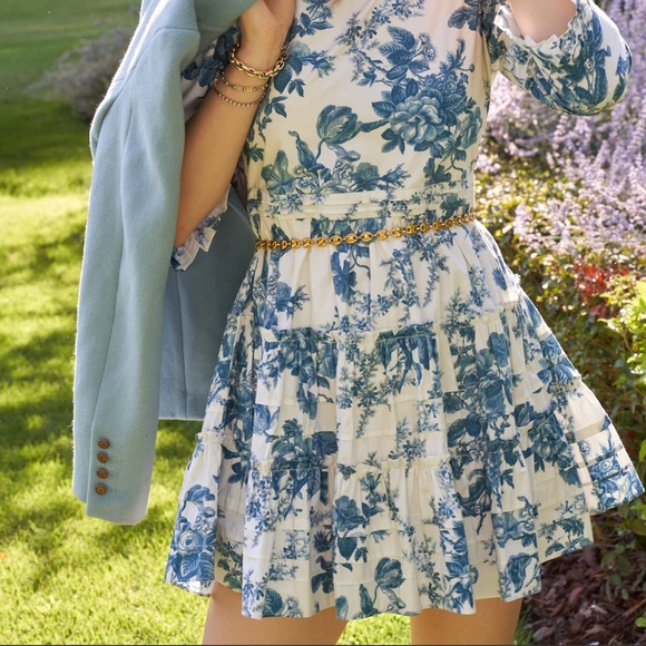 LoveShackFancy Lienzo Mini Dress - Picture 3 of 11